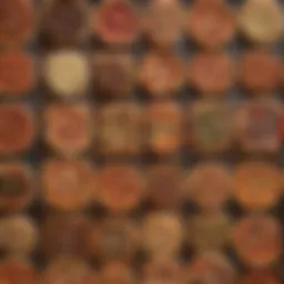 A selection of different types of wood suitable for pizza ovens