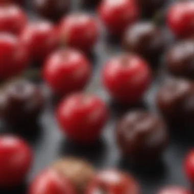 A close-up view of cherry cordial candies showcasing their glossy chocolate exterior and vibrant red cherry filling.