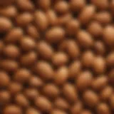 Close-up of almonds showcasing their fibrous texture