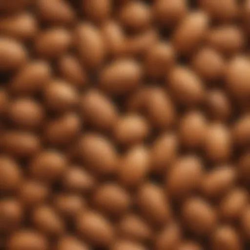 Close-up of almonds showcasing their fibrous texture