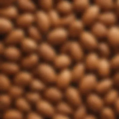 Exploring the Fibrous Texture of Almonds Close-up of almonds showcasing their fibrous texture