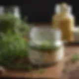 A close-up view of a jar of oregano cream with fresh oregano leaves beside it