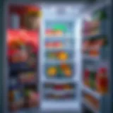 An overview of a refrigerator freezer interior showcasing various food items