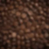 A close-up of coffee beans showcasing their rich texture