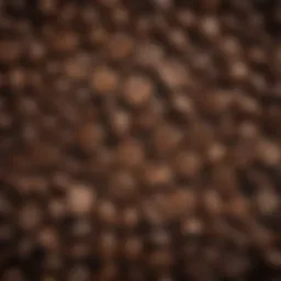 A close-up of coffee beans showcasing their rich texture