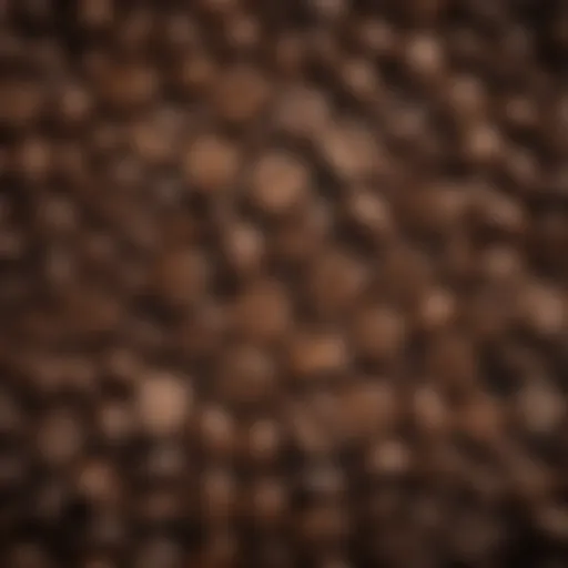 A close-up of coffee beans showcasing their rich texture