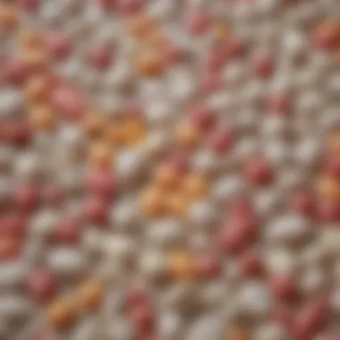 Probiotics and Their Health Benefits A vibrant display of probiotics and their health benefits.