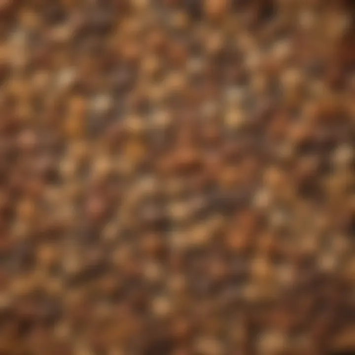 A visual representation of common dog food allergens