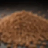 A close-up view of high-quality kibble with fresh ingredients