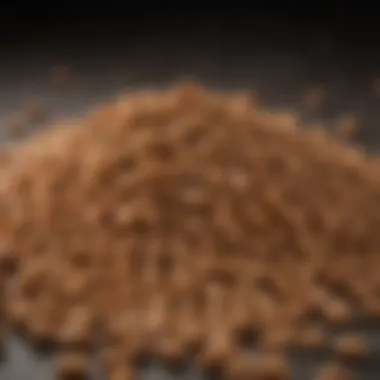 A close-up view of high-quality kibble with fresh ingredients