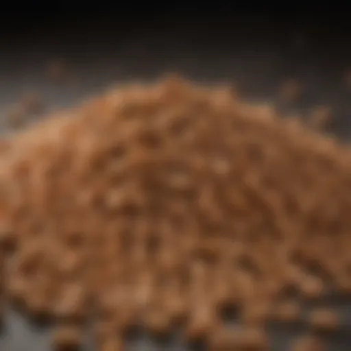 A close-up view of high-quality kibble with fresh ingredients