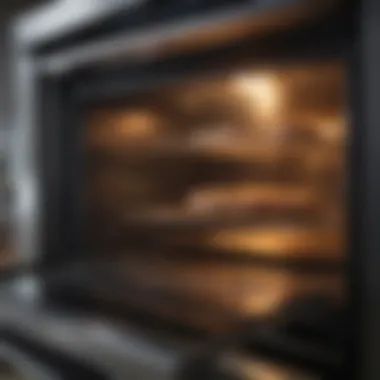 Interior view of a convection oven demonstrating even heat distribution