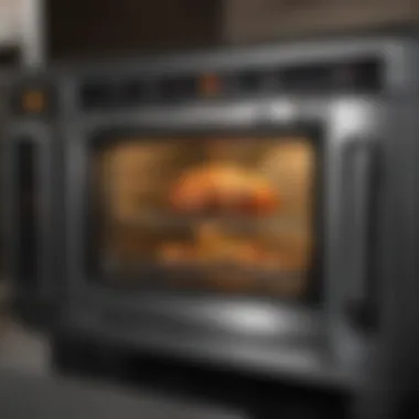 Showcase of popular convection oven models with distinct features