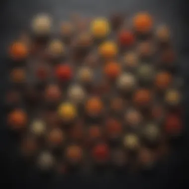 Spice Collection for Flavorful Barbecue Sauce A variety of spices commonly found in barbecue sauce recipes