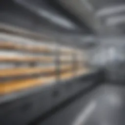 A high-tech freeze bakery facility showcasing advanced freezing equipment.