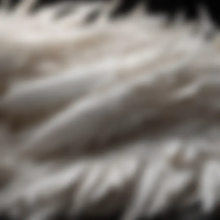 Close-up of down feathers showing their fluffiness