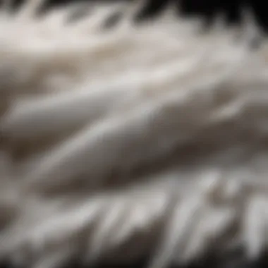 Fluffy Down Feathers Close-Up Close-up of down feathers showing their fluffiness