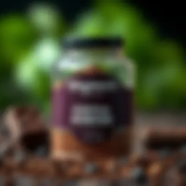 Notable Wegmans Cocoa Powder: A Comprehensive Exploration