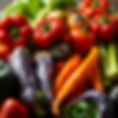 Colorful vegetables arranged artistically