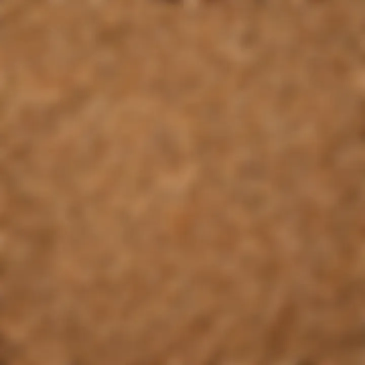 Variety of whole grains such as quinoa, brown rice, and oats