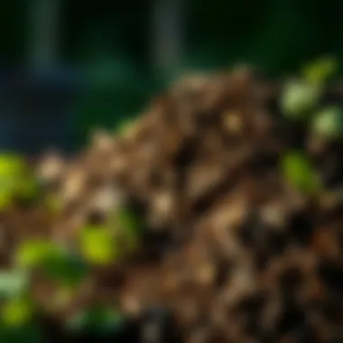 Healthy, rich compost ready for use in a garden, demonstrating the benefits of composting.