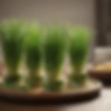 A variety of wheat grass supplements available on a table