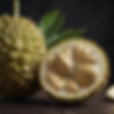 Close-up of a perfectly ripe durian