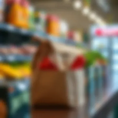 Sustainable Grocery Packaging Sustainable packaging materials used for groceries